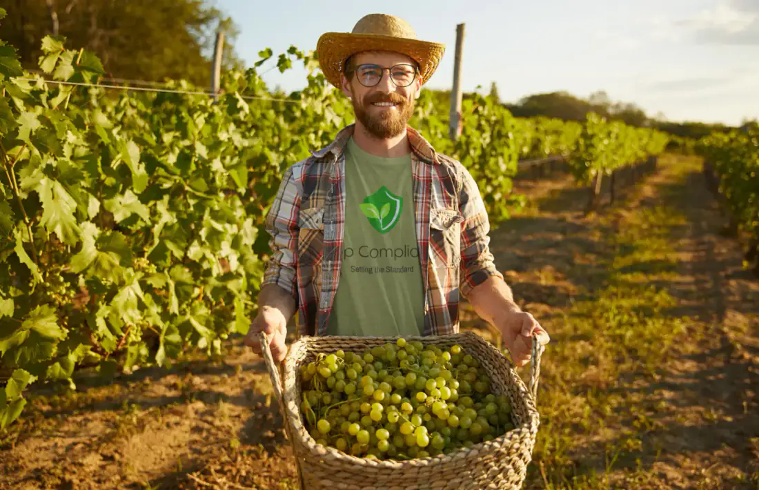 A farmer in a Crop Compliance shirt holding a basket of grapes in a vineyard